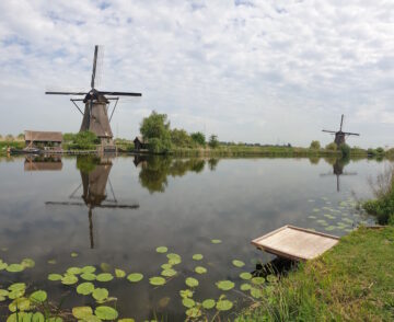 [Foto]
