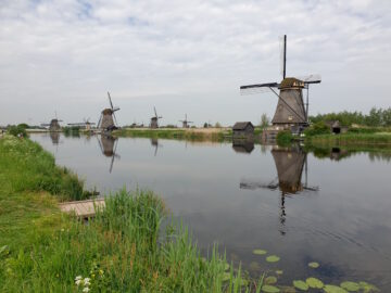 [Foto]