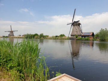 [Foto]