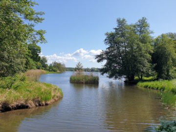 [Foto]