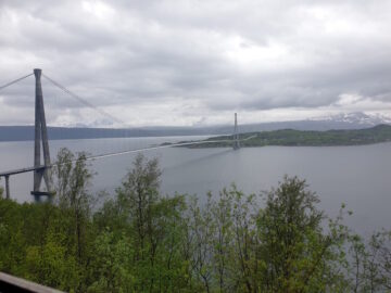 [Foto]