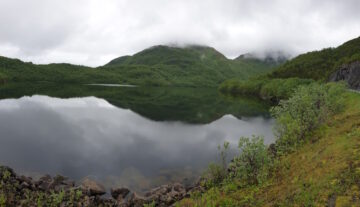 [Foto]