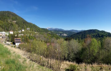 [Foto]