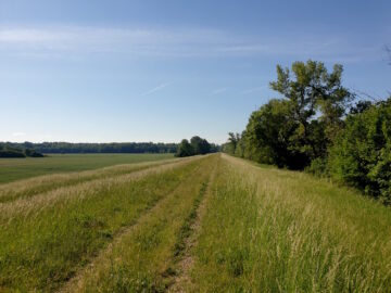 [Foto]