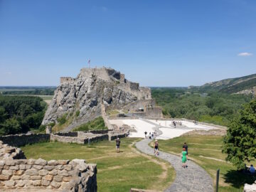 [Foto]