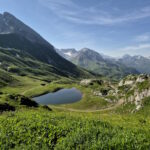 [Picture]
